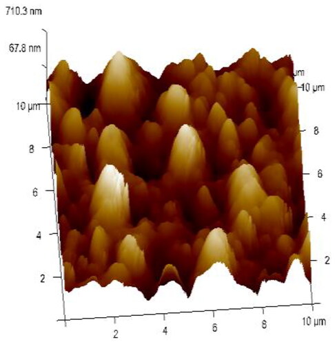 Figure 9. AFM image of Nickel coating.