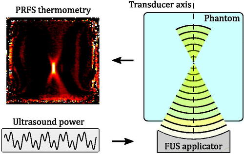 Figure 2. Schematic overview of the experiment setup. Bottom left: the modulated FUS power, which serves as the input to the system. Right: a sagittal section of the phantom placed on top of the the FUS applicator. Top left: the PRFS thermometry, which serves as the output of the system.