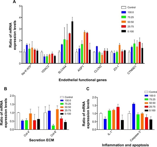 Figure 5 Gene expression on different membranes.Notes: (A) Expression of seven functional correlation genes was tested. (B) Two extracellular matrices, collagen IV and collagen VIII, were detected. (C) Interleukin-1 (an inflammatory cytokine) and caspase-3 (an apoptosis-related gene) were tested.Abbreviations: AQP1, aquaporin 1; CLCN3, voltage-sensitive 3 chloride channel; ZO-1, zona occludens-1; Col-4, collagen type IV; Col-8, collagen type VIII; CTNND1, cadherin-associated protein; IL-1, interleukin-1; Na+K+ATPase, Na+/K+ transporting, alpha 1 polypeptide; SLC4A4, sodium bicarbonate cotransporter member 4; VDAC3, voltage-dependent anion channel 3; ECM, extracellular matrix.