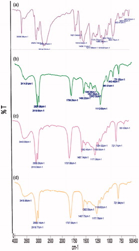 Figure 3. FTIR spectrum (a) Galantamine (GH), (b) GH-SLNs, (c) Solid–lipid (Compritol) and, (d) Physical mixture (Compritol:GH:: 10:1).