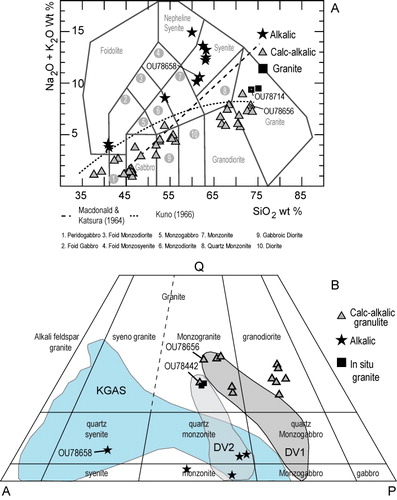 Figure 4 Whole rock chemistry and normative mineralogy. A, Total alkalis versus silica diagram with field boundaries after Middlemost (Citation1994). The dashed lines represent various alkalic (high alkalis)–sub-alkalic division lines. B, Normative QAP compositions of Mount Morning granulite and alkalic xenoliths compared to the Dry Valley suite (DV) fields of Smillie (Citation1992) and the Koettlitz Glacier Alkaline Suite (KGAS) of Read (Citation2010).