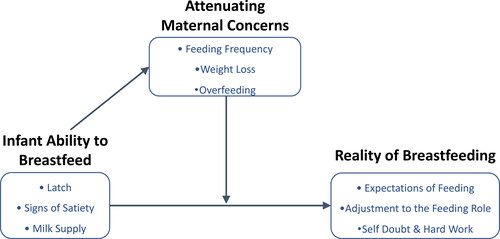 Figure 2. Thematic Grounded Theory map illustrating themes and subsumed super-categories (boxes). Women experienced and attributed their infants as having ability to breastfeed (Theme 1: Infant Ability to Breastfeed). Where women expressed concerns with breastfeeding, these were attenuated by larger infant birthweight and healthcare advice (Theme 2: Attenuating Maternal Concerns). Women’s experiences of baby ability to breastfeed helped to reduce discordance between expectations and the Reality of Breastfeeding (Theme 3), and the association was facilitated through attenuated maternal concerns.