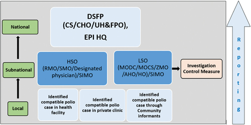 Figure 4. The structure and reporting system of the polio program in Bangladesh.