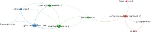 Figure 2. Authors Co-occurrence. Source: Created by the authors based on WoS database using VOSviewer software.