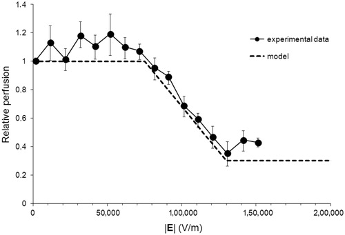 Figure 2. Relative blood perfusion after delivery of 8 pulses of 100 μs at 1 Hz. The experimental data was obtained from [Citation8]. The model corresponds to equation (2).