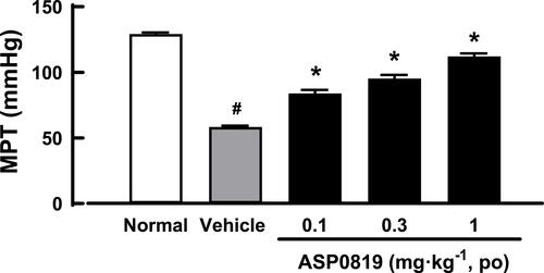 Figure 2 Effect of ASP0819 on muscular withdrawal responses in RIM rats. Myalgia was induced by treatment with SC reserpine for 3 days. Vehicle or ASP0819 (0.1, 0.3, and 1 mg·kg-1) was orally administered 8 days later, and the muscle pressure threshold (MPT) was measured 4 h after administration. Data are expressed as the mean ± SEM in each group (n=6). #P<0.05, statistically significant compared to the normal group (Student’s t-test). *P<0.05, statistically significant compared to the vehicle group (Dunnett’s multiple comparisons test).