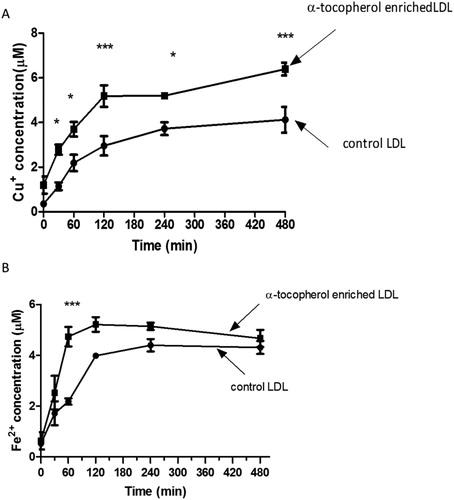 Figure 6. Kinetics of cupric and ferric ion reduction by LDL at pH 4.5. Control and LDL enriched with α-tocopherol (50 μg protein/mL) were incubated with (A) 5 μM CuSO4 or (B) 5 μM FeCl3 at pH 4.5 and 37 °C. At several time points, samples were taken and Cu+ or Fe2+ ion detected immediately using the cuprous copper chelator bathocuproinedisulfonic acid or bathophenanthrolinedisulfonic acid, respectively. The mean ± SEM of 4 independent experiments is shown. *p < 0.05, ***p < 0.001 by two-way ANOVA followed by a Bonferroni post-hoc test.