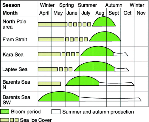 Figure 1.  Time-related plankton blooms in the Arctic Oceans (modified after Zenkevitch Citation1963).