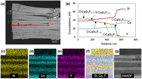 Figure 19. (a) Cross-sectional back-scatter scanning electron microscopy image of the crystal grain, including a CaSi2F x compound. (b) Electron probe micro-analysis along the red arrow in (a). (c–f) STEM-EDX elemental mapping results of the CaSi2F2 composition region. (f) Overlay of Si, Ca, and F mapping. (g) HAADF-STEM image of the STEM-EDX elemental mapping area. Copyright (2016) by the Nature Publishing Group.