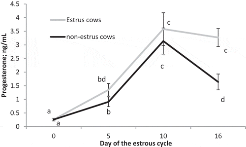 Figure 2. Circulating concentrations of progesterone on Days 0, 5, 10, and 16 of the estrous cycle for cows in the estrus and non-estrus groups. Points having different superscripts are different (P < 0.03).