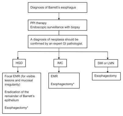 Figure 1 Management of patients with Barrett’s esophagus with neoplasia.Citation34