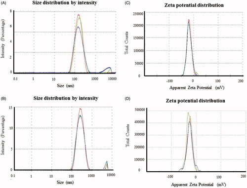 Figure 5. Particles size distribution of AuNPs (A) and AgNPs (B). Zeta potential analysis shows the surface charge on nanoparticles with respect to the total number of nanoparticles present in the solution for AuNPs (C) and AgNPs (D). This study has been done in triplicates.