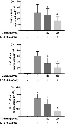 Figure 3. Effect of TGSBE on LPS-induced mRNA expression of TNFα, IL-6 and IL-1β in RAW264.7 cells. The cells were pre-incubated with indicated concentrations of TGSBE for 1 h, followed by LPS (0.5 μg/mL) for 12 h. Then, total RNA was extracted and mRNA expression of TNFα, IL-6 and IL-1β was analyzed by real-time RT-PCR. Data represent mean ± SD from three separate experiments. *p < 0.05, significant compared to control, #p < 0.05, significant compared to LPS alone treated group.