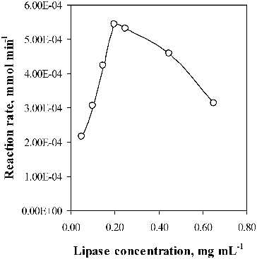 Figure 5. Enzyme concentration dependence of the activity of the free lipase.