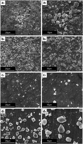 Figure 69. Surface morphology of the oxide scale formed on (a1,a2) irradiated LPBF samples, (b1,b2) irradiated TM samples, (c1,c2) unirradiated LPBF samples, and (d1,d2) unirradiated TM samples after corrosion for 454 h in simulated primary water of a pressurized water reactor (PWR) at 320 °C (Reproduced with permission from[Citation403]).