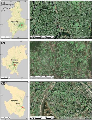 Figure 11. Building footprints in Shenyang, Guiyang, and Xining. The right subfigure is the enlarged display of a local small area in the red box of the left subfigure.