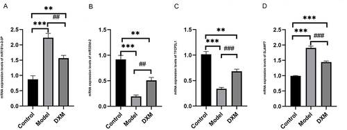 Figure 10 PCR of Partial miRNA-mRNA (A) miR-181a-2-3p (B) miR-320d-2 (C) SLAMF7 (D) TFCP2L1. **, ##P value<0.01, ***, ###P value<0.001.