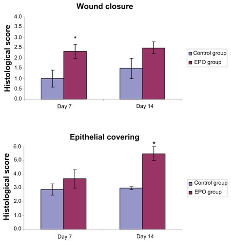 Figure 2 Histological scoring of the results of scald regeneration in mice treated with rhEPO or vehicle at different healing times (7 and 14 days). The final score of epithelial covering for each animal specimen is demonstrated as the sum of the three partial score values in Table 1.Notes: Values are the mean ± standard error of the mean of each group. *P < 0.05 versus control group. In the EPO groups, we noticed a significant decrease in wound size and quicker wound closure than in the control groups at day 7. In addition, we found increased epithelial covering in the EPO treatment group than in the control group.Abbreviations: EPO, erythropoietin; rhEPO, recombinant human erythropoietin.