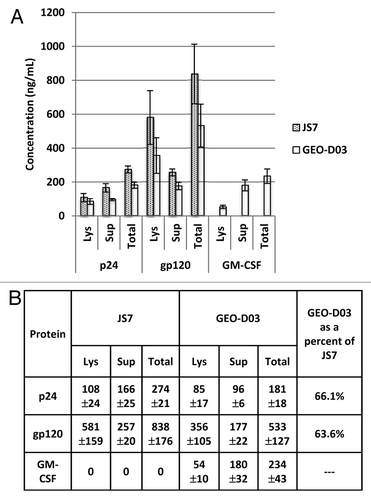 Figure 4. Quantification of Gag, Env and GM-CSF expression by ELISA. (A) Expression of p24 Gag, gp120 Env and GM-CSF in lysates and supernatants. (B) Summary of Expression data. HEK293T cells were transiently transfected with GEO-D03, pGA2/JS7, or mock transfected. After a two-day incubation, Gag, Env, and GM-CSF proteins in lysates and supernatants were quantified using the p24 Antigen Capture Assay Kit (ABL), the HIV-1 gp120 Clade B specific Antigen Capture Assay Kit (ABL), and the ELISA for Human GM-CSF Kit (Mabtech), respectively. Values are ng of protein produced by approximately 1 × 106 transfected cells expressed as mean ± standard deviation. Lys, lysate; Sup, supernatant.