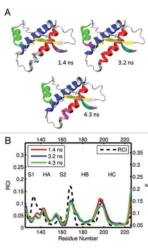 Figure 8 (A) Dynamical domains for frog prion protein (xlPrP) identified from a MD trajectory at times indicated by the subscripts. The meaning of colors is as in Figure 3. (B) Flexibility profiles at times indicated in the legend box. The dashed curve shows the experimental RCI profile from 2(f). See Figures S11 and S12 for further results on frog prion protein.