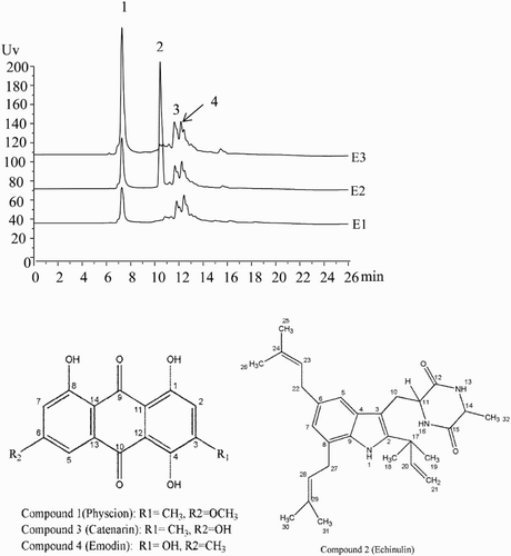 Figure 2. Overlaid HPLC chromatograms of extractions E1–E3, and compound structure from extractions.