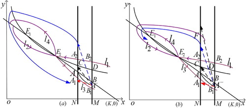 Figure 6. The existence of order-1 periodic solution of system (Equation3(3) dx(t)dt=rx(t)1−x(t)K−bx(t)y(t),dy(t)dt=cx(t)y(t)y(t)y(t)+m−dy(t),x<xT,Δx(t)=−p(xT)x(t)Δy(t)=−q(xT)y(t)+τ(xT)x=xT.(3) ) when x2≤(1−pT)xT<xT≤min{xZD,K}, (a)the unstable flow l4 is outside of the stable flow l2; (b)the stable flow l2 is outside of the unstable flow l4.