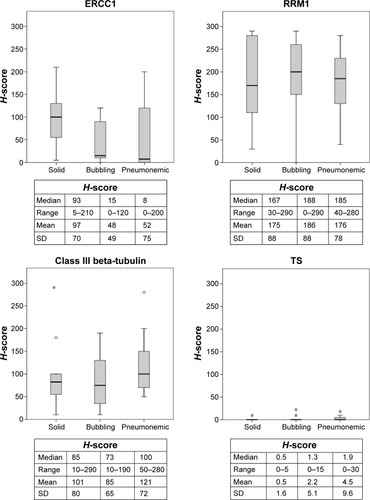 Figure 3 The immunohistochemical H-score for each marker expression profile based on the computed tomography findings.