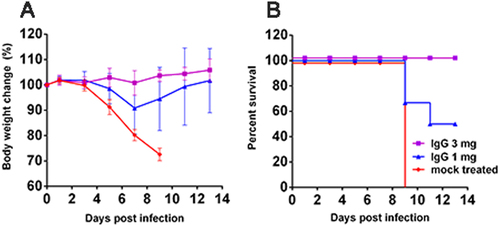 Fig. 5 Efficacy of anti-influenza polyclonal antibodies for treating H5N6/GZ14-infected mice.Female 8-week-old BALB/c mice (n = 6) were intranasally infected with 2 MLD50 (10 pfu) of H5N6/GZ14. One day later, the mice were treated with an intraperitoneal injection of either 1 or 3 mg of anti-influenza IgG/mouse. The mock-treated mice received an intraperitoneal injection of 3 mg of purified unrelated IgG. a The body weights were measured every other day. The results from each group and each time point are expressed as the mean ± SD. b Survival of infected mice. Mice were euthanized when body weight loss exceeded 25% of the original weight
