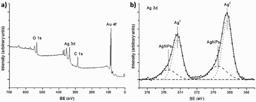 Figure 4. X-ray photoelectron spectroscopy (XPS) measurement of AgNPs biosynthesized with 2 mM of AgNO3 and 5% volume of B. globosa extract in aqueous solution. (a) XPS survey. (b) High resolution spectrum from Ag 3d band.