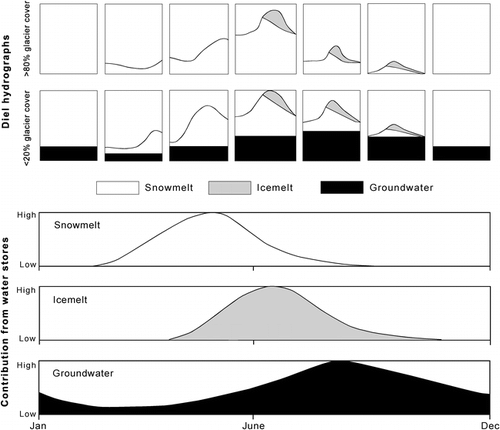 FIGURE 3. A conceptual model of spatial and temporal variations in daily bulk runoff hydrographs and source water contributions in alpine glacierized catchments over an annual cycle (modified from CitationSmith et al., 2001)