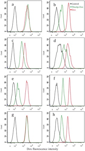 Figure 2. Binding assay of ThioAp52-Dox complex. Four pairs of cultured cancer cells (a, c, e, g) and corresponding noncancerous cells (b, d, f, h) were assayed with flow cytometry after 6 h treatment of ThioAp52-Dox (5.0 µM, green line), Dox (5.0 µM, red line), or control (culture medium only, black line). Cell lines: a) AsPC-1, b) hTERT-HPNE, c) Cal-27, d) OMF, e) MCF-7, f) MCF-10A, g) SK-MEL-28, h) Hs895.Sk