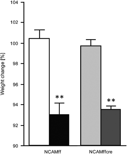 Figure 1.  Percentage body weight change of control and subchronically stressed conditional NCAM-deficient mice (NCAMffcre) and their NCAMff littermates. Both stressed NCAMffcre and NCAMff mice displayed a significant reduction in percentage body weight when compared with control, non-stressed mice of the same genotype. Results are mean ± SEM (N = 5–6/group; **p < 0.01, unpaired Student's t-test versus controls of the same genotype). Display full size NCAMff control, Display full size NCAMff stressed, Display full size NCAMffcre control, and Display full size NCAMffcre stressed.