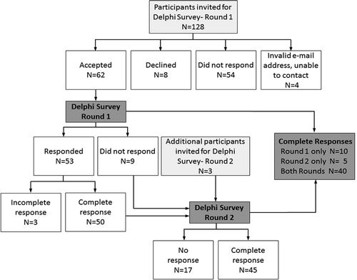 Figure 2. Flow diagram of the Delphi surveys.