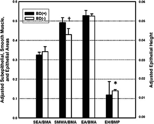 Figure 3.  Adjusted airway morphometry in each group. SEA/BMA = Adjusted subepithelial area; SMWA/BMA = Adjusted smooth muscle wall area; EA/BMA = Adjusted epithelial area; EH/BMP = Adjusted epithelial height. Data presented as mean ± SE. *p = 0.007. †p = 0.034.