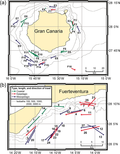 Figure 2.  Map of survey (a) ‘Pelagic 01/00’ (E1–E11) and ‘Pelagic 11/00’ (F1–F19) (legend as in Figure 2b) and (b) ‘Bocaina 03/02’ (G1–G27). Station numbers refer to Table I.