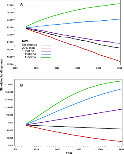 FIGURE 6 Simulated effects of changes in the amount of submersed aquatic vegetation (SAV) habitat on (A) blue crab and (B) penaeid shrimp fisheries in the GOM. Geographic information was combined with data from studies of habitat dependence in early juvenile blue crabs and long-term fishery information to model recruitment (Jordan et al. Citation2009).