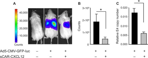 Figure 9 Liver untargeting of Ad infection using a bispecific adapter, sCAR-CXCL12, in SCID-bg mice in vivo.