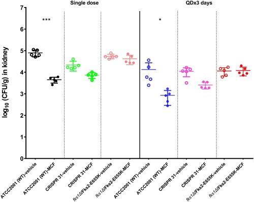 Figure 4. Comparison of the kidney burdens among the different treatment groups of mice infected with C. glabrata FKS1 WT isolate (ATCC 2001), FKS2 E655 K CRISPR 31 and fks1Δ/Fks2-E655 K. Statistical analysis was performed using Dunnett’s or Dunn’s multiple-comparison test (*** P < 0.01 and * P < 0.05). The data are presented as the mean ± s.d.