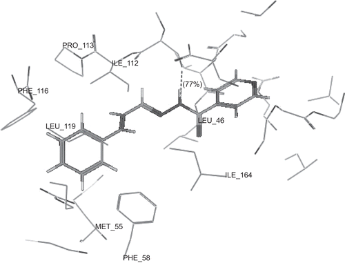 Figure 5.  3D view from a molecular modelling study, of the minimum-energy structure of the complex of 2h docked in DHFRE (PDB ID: 1J3I). Viewed using Molecular Operating Environment (MOE) module.