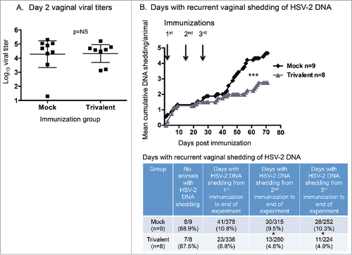 Figure 4. Trivalent vaccine reduces vaginal shedding of HSV-2 DNA. (A) Viral titers on vaginal swab cultures obtained 2 d post-infection. Bars represent geometric mean titers with 95% confidence intervals. The Mann-Whitney test for nonparametric data was used to calculate the p value (p = 0.51). Bars represent geometric mean titers with 95% confidence intervals. (B) Mean cumulative days of DNA shedding per guinea pig. Arrows indicate immunization days. The p value was calculated using Prism software by 2-way ANOVA. The table indicates the total days of DNA shedding per group after the first, second, or third immunization until the end of the experiment. The p values were calculated using the Fisher's exact test. The p value is 0.067 comparing the mock and trivalent groups from 1st immunization to end of experiment. NS indicates not significant; * p < .05, *** p < .001.