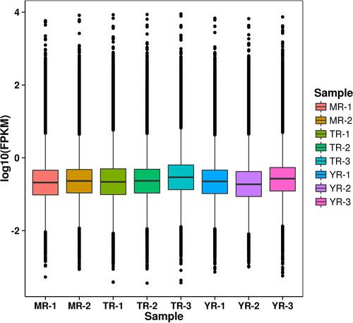 Figure 2 The analysis of FPKM Expression levels in each library.