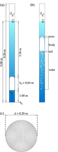 Figure 1. Schematic illustration of the computational domain at prototype scale: (a) the longitudinal section of the domain, (b) a Taylor bubble region and (c) a cross-section of the mesh