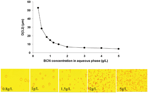 Figure 3. Droplet size dependence on bacterial cellulose nanofibril (BCN) content (upper figure) for droplet diameters D(3,2) versus BCN concentration in the water phase in an emulsion containing hexadecane with a 30/70 oil/water ratio. (lower images) Transmission optical micrographs of the same emulsions; the corresponding concentrations are given in the images. Modified from Ref. [Citation79], with permission from American Chemical Society (© ACS 2011).