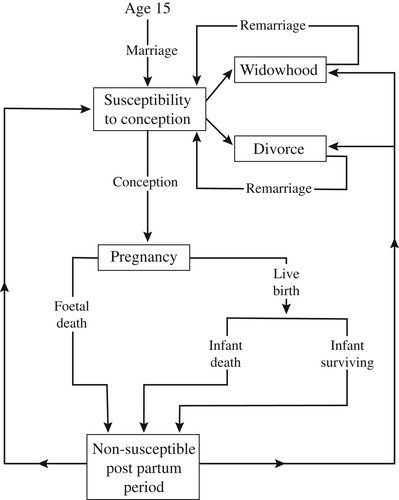 Figure 1 Basic operation of the REPSIM modelSource: Developed by Ridley and Sheps (Citation1966).