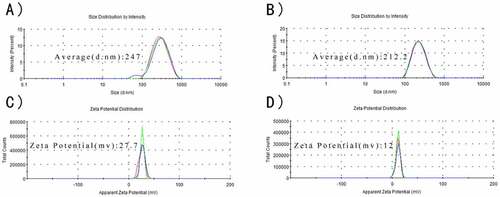 Figure 2. Characteristics of nanoparticles