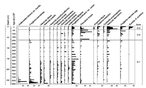 Figure 5 Selected diatom percentages from Trettetjørn. The data are presented on a depth basis with a calibrated age scale. Diatom zones (D-) are shown in the right-hand column.