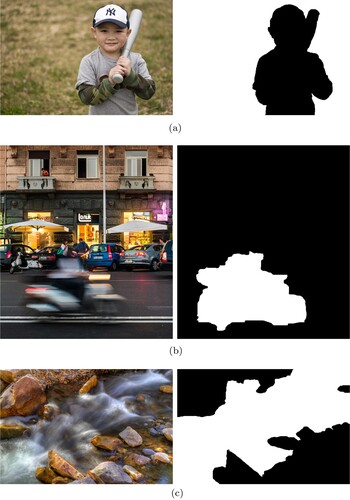 Figure 1. Some examples of different blur detection tasks. In the sub-figure, the left is the original image and the right is its ground truth for blur detection. The white masks denote the blurred regions. (a) Example of the clear object and blurred background. (b) Example of a blurred object and (c) Example of blurred regions.