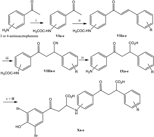 Scheme 2.  Synthetic pathway for final compounds Xa–e. Compounds: VIa =3-acetamido; VIb = 4-acetamido; VII, VIII, IX, X; (NH; R): a = (m-NH-; H), b = (p-NH-; H), c = (p-NH-; 2-Cl), d = (m-NH-; 4-OCH3), e = (p-NH-; 4-OCH3). Reagents: i = (CH3CO)2O/reflux 2 h, ii = substituted benzaldehyde/NaOH/ethanol/H2O/15ºC/2–3 h, iii = acetone cyanohydrin/TBAH/acetone/reflux 10 h, iv = HCl/reflux 3 h, v = ethanol/r.t./7 days.