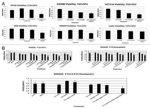 Figure 7. (A) Combination of Y15 and 5-FU decreases viability in most colon cancer cells more significantly than each agent alone. Different colon cancer cells were treated with Y15, 5-FU or combination of Y15 and 5-FU for 24 h and MTT assay was performed. The viability of most colon cancer cells, except of Lovo was significantly less than Y15 and 5-FU-treated cells alone. *, P < 0.05, Y15 + 5FU vs. Y15 and 5-FU or 5-FU vs. untreated. (B) Combination of Y15 with 5-FU or with oxaliplatin or all three drugs together is more significant than single or dual dose-treatment, respectively in decreasing colon cancer cell viability in vitro. SW620 cells were treated with 2 µM Y15 and different doses of 5-FU (left upper panel) or Y15 1 µM and different doses of oxaliplatin (right upper panel) or with all three inhibitors together (lower middle panel) for 24 h and MTT assay was performed. *P, **P < 0.05 vs. untreated and single or dual dose, respectively.