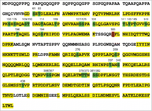 Figure 1. Identification of post-translational modification sites of YAP1-2 gamma. Mass spectrometry analysis identified the potential YAP1 phosphorylation sites. The peptide sequences of YAP1 recovered by mass spectrometry are labeled in yellow; the serine and threonine phosphorylation sites are labeled in green; the tyrosine phosphorylation site was labeled by red.